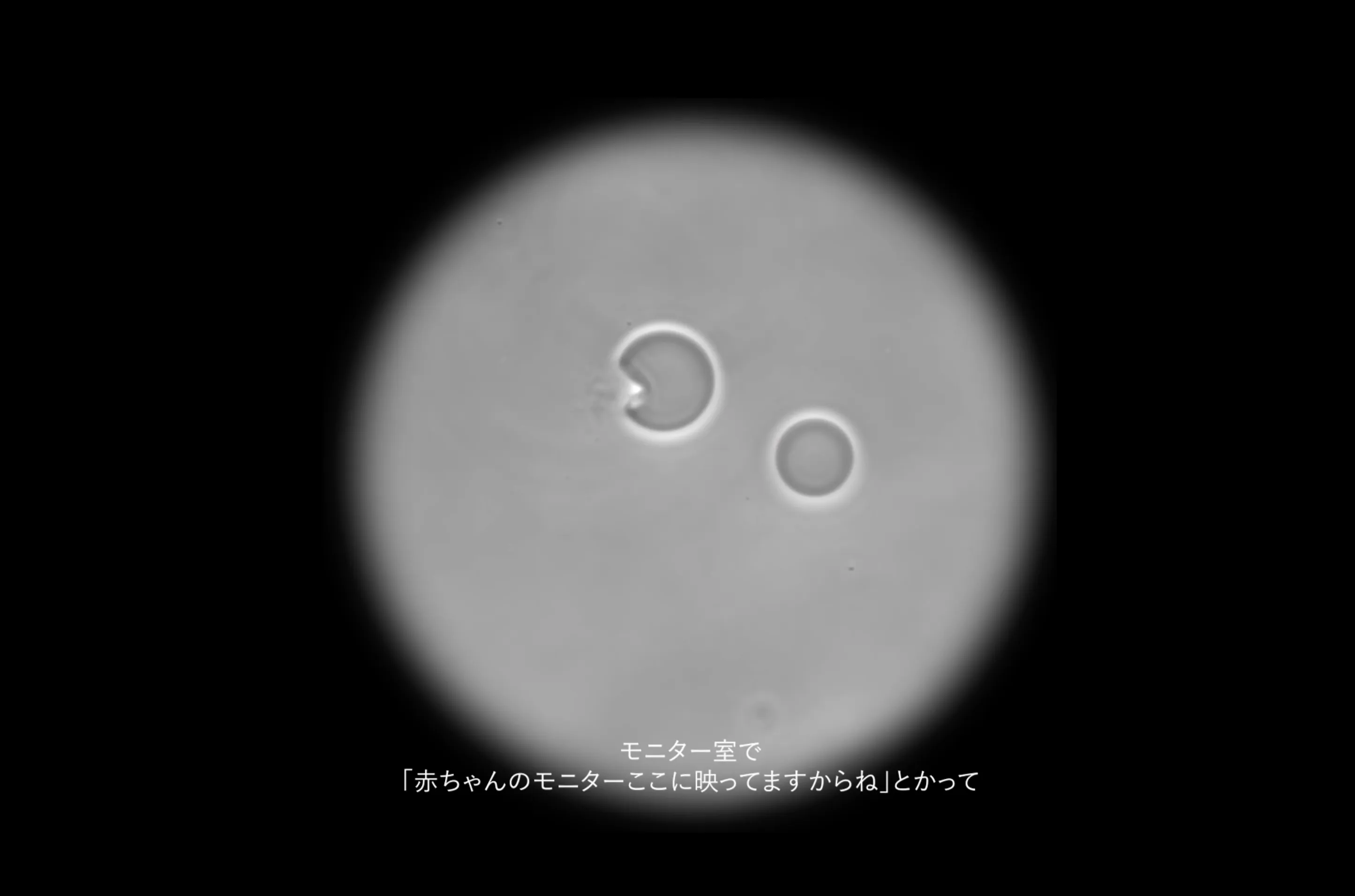 THE HUMAN BIRTH detail 01