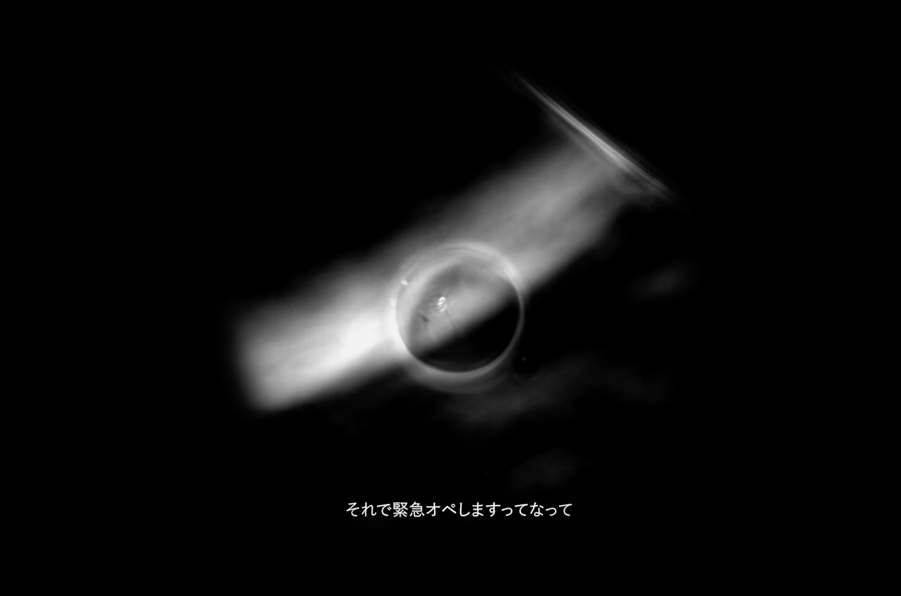 THE HUMAN BIRTH detail 02