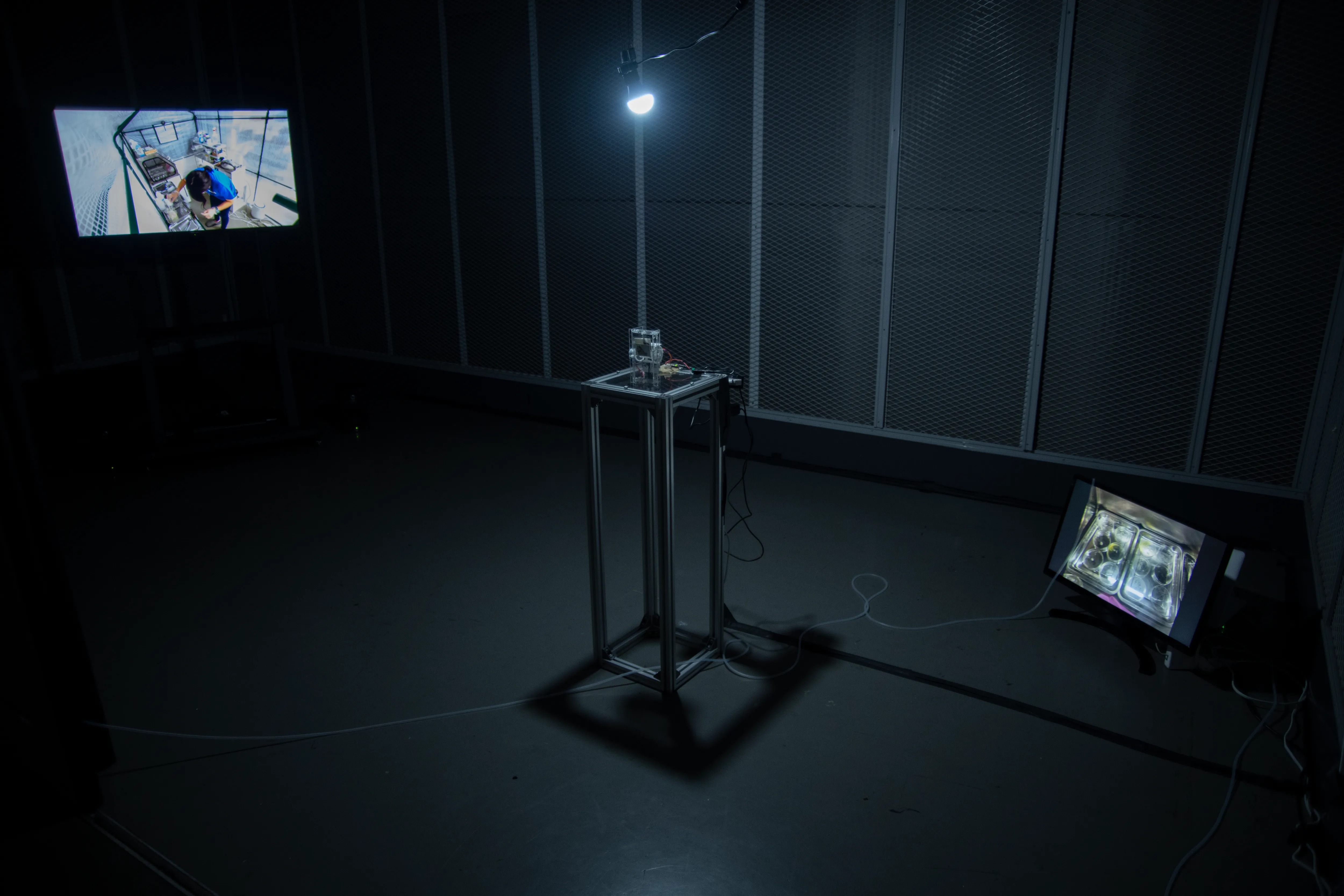 《人魚の肉》展示風景 03