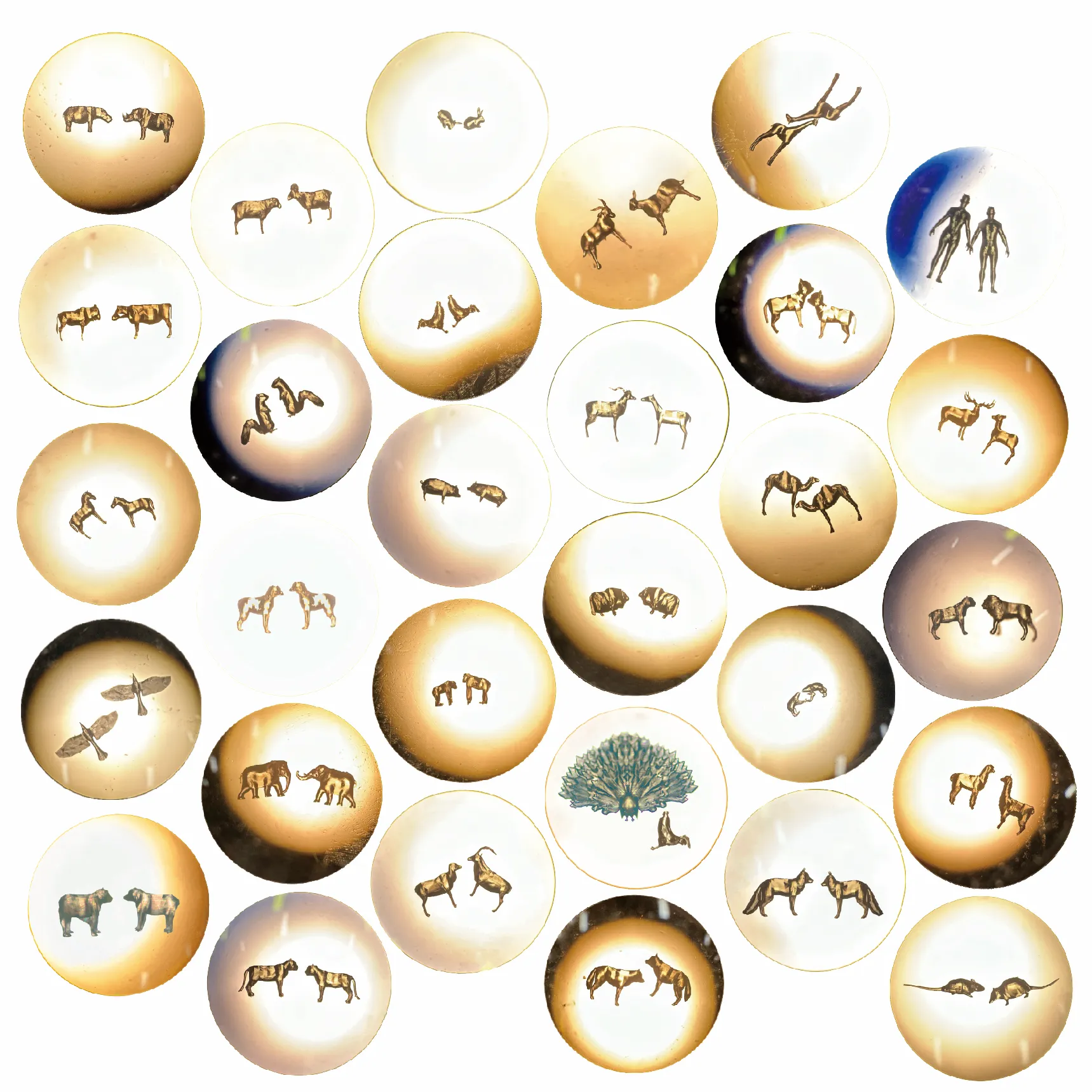 月面ミクロ彫刻展示会「Noah's Ark
