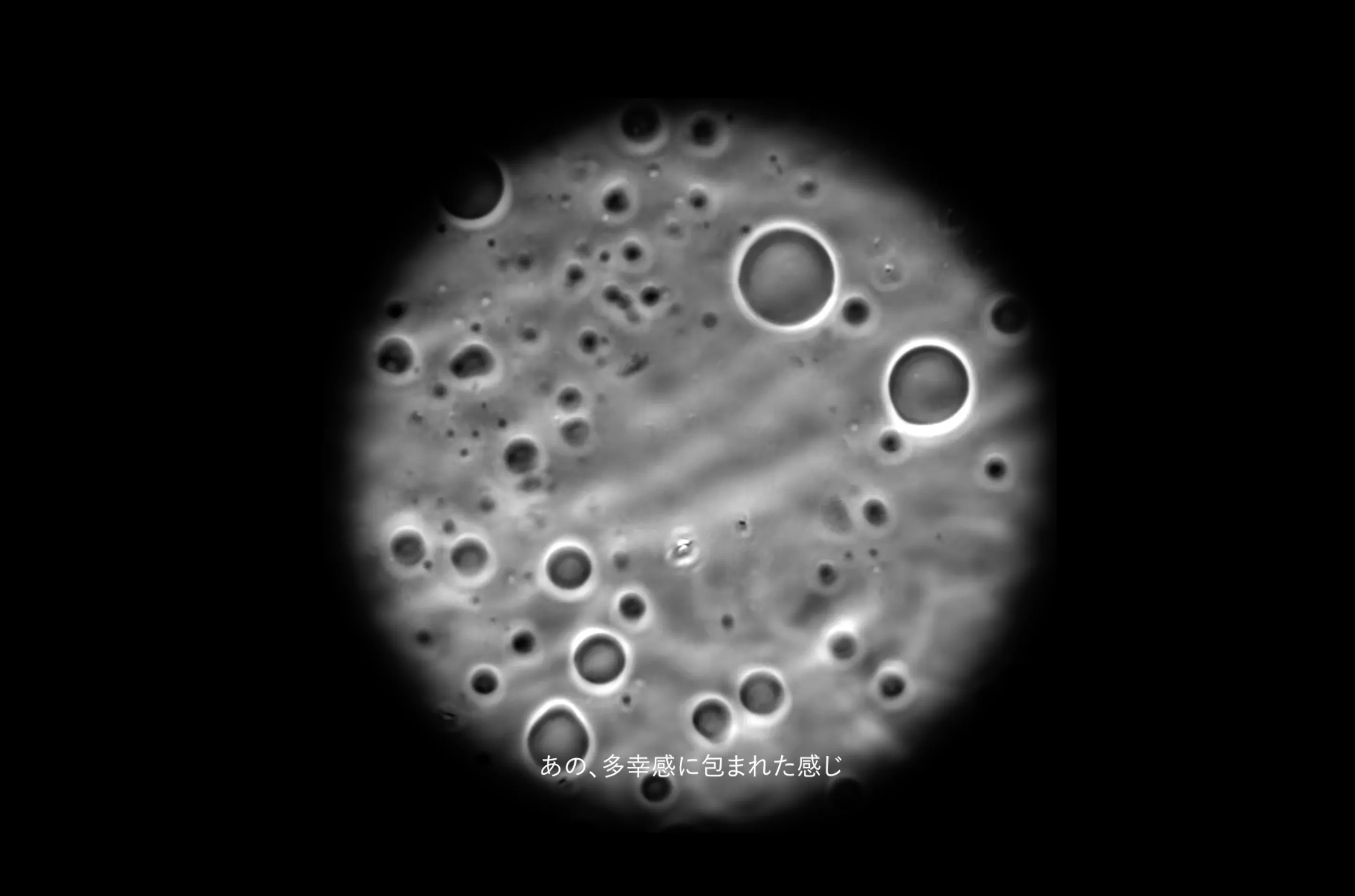 studywork_THE HUMAN BIRTH